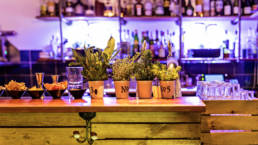 Bar-HouseGarden