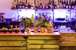 Bar-HouseGarden